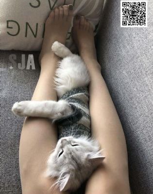 绯闻女孩第二季_BD英语在线观看高清
