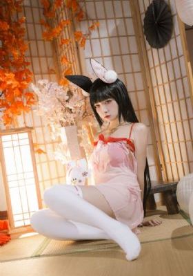 梅花档案在线全集免费观看_1080P最新电影在线观看